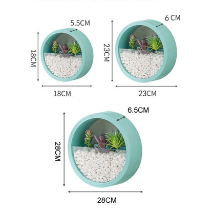 Round Succulent Planter - Eco - friendly | Cozyield