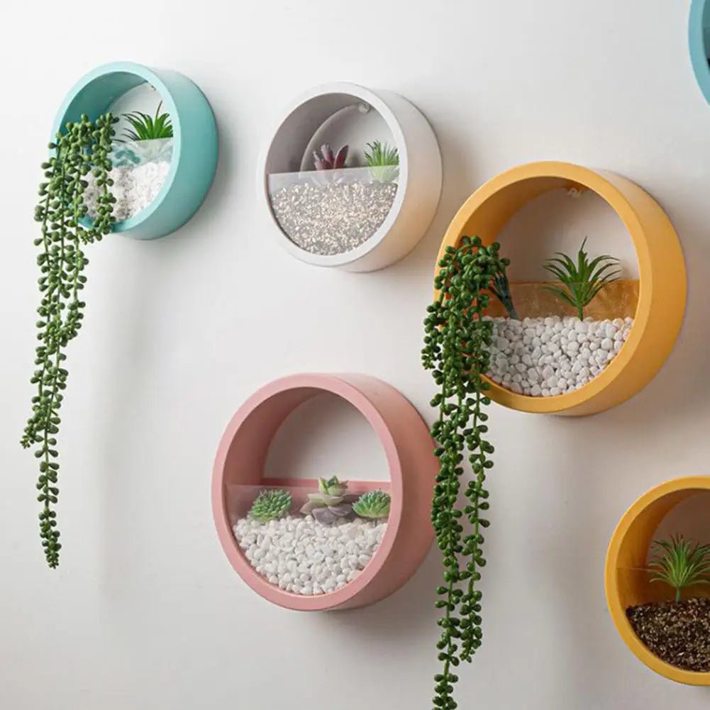 Round Succulent Planter - Eco - friendly | Cozyield