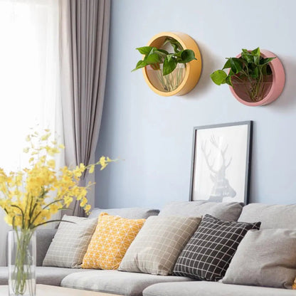 Round Succulent Planter - Eco - friendly | Cozyield