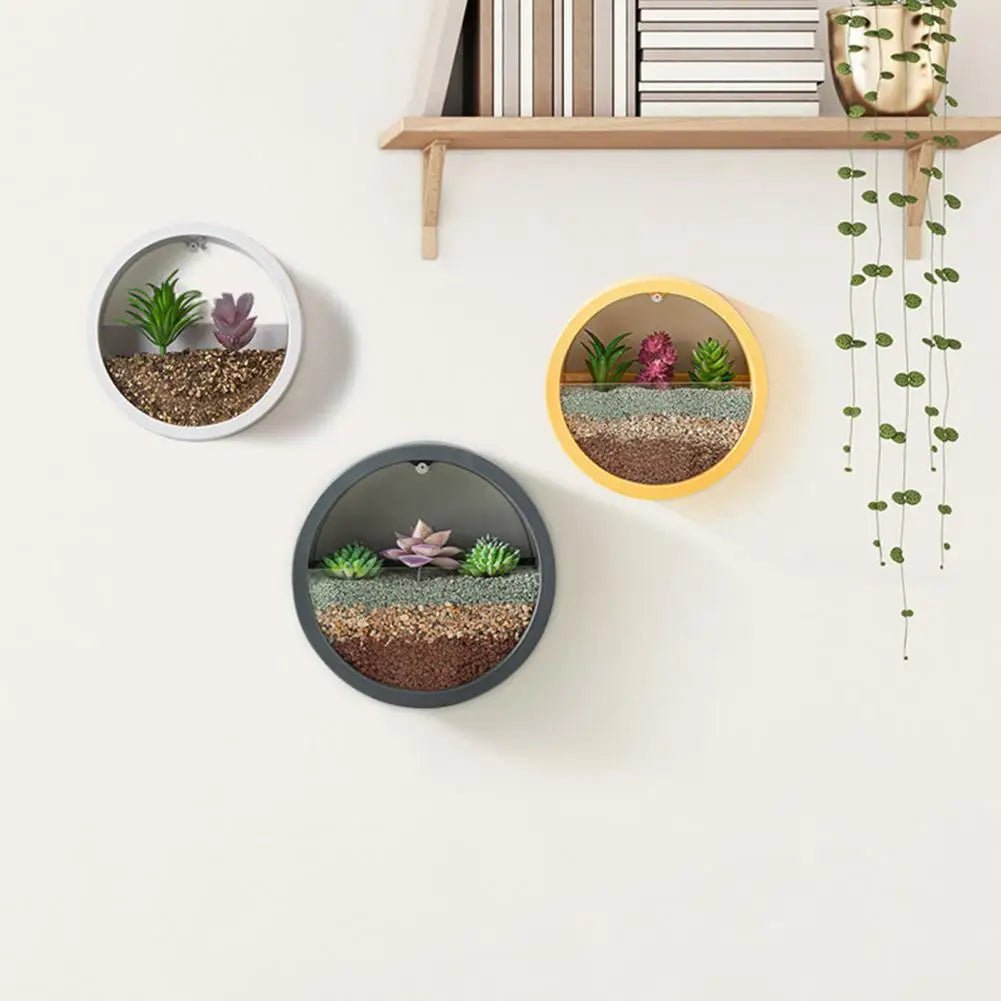 Round Succulent Planter - Eco - friendly | Cozyield