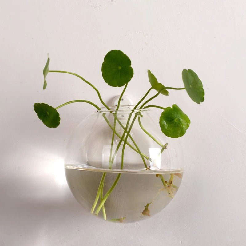 Semi - Circular Glass Wall Hanging Vase - Eco - friendly | Cozyield