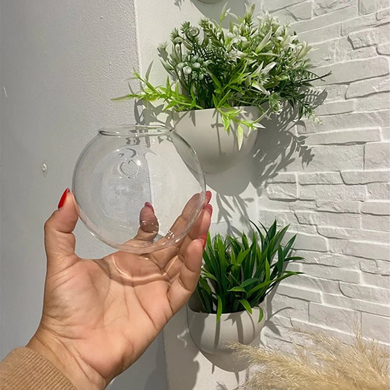 Semi - Circular Glass Wall Hanging Vase - Eco - friendly | Cozyield